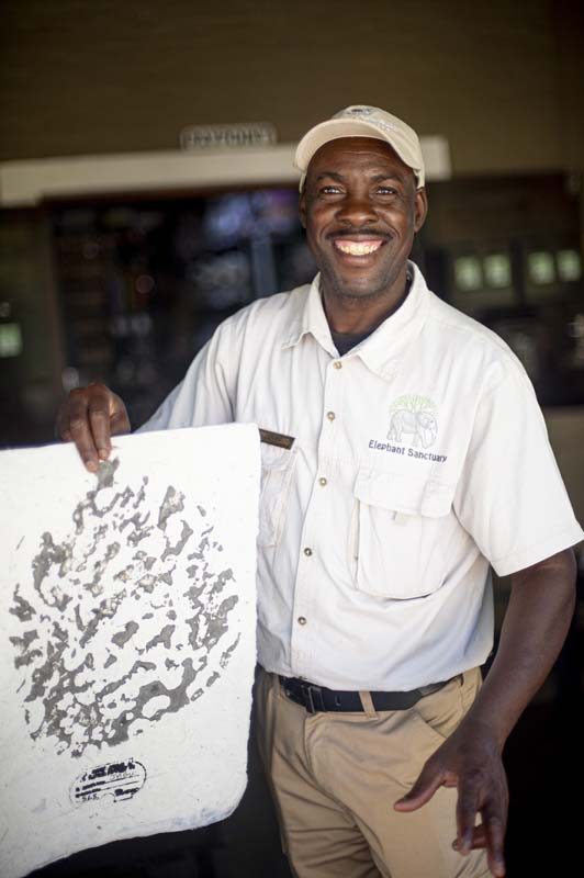 Safari & Wildlife