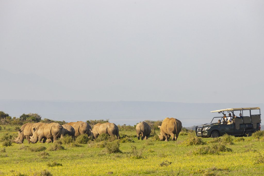Safari & Wildlife